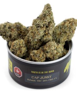 Cap Junky Weed Strain